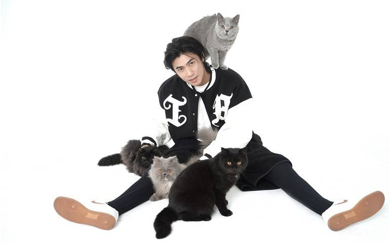 寵物情緣／養13隻貓...經紀人修毅照料病貓不後悔「從死神手中救回寶貝」：養了就是自己的小孩