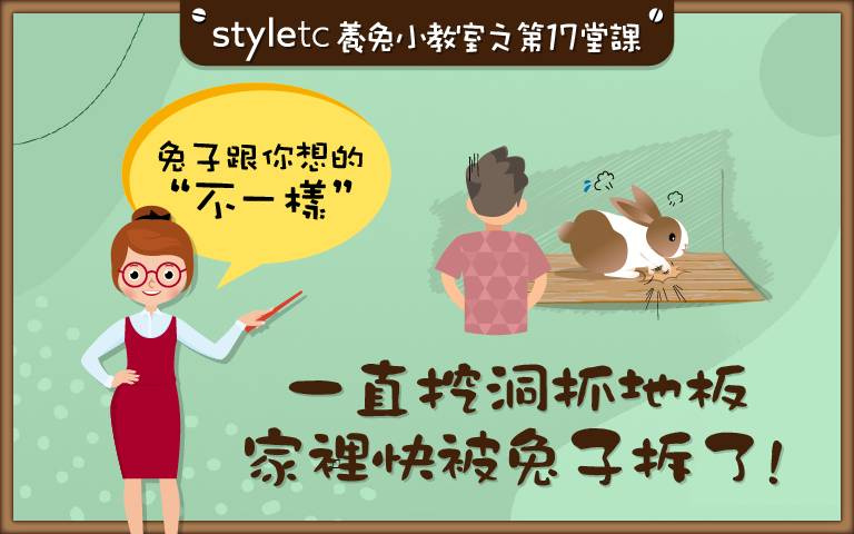 地底下有寶藏嗎?我家兔兔超過動,根本怪手投胎啊!