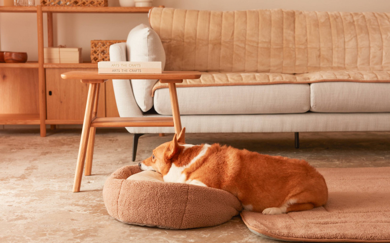 為冬天做準備！「超厭世紅浣熊手插枕」登場：冬天能不能不要上班！