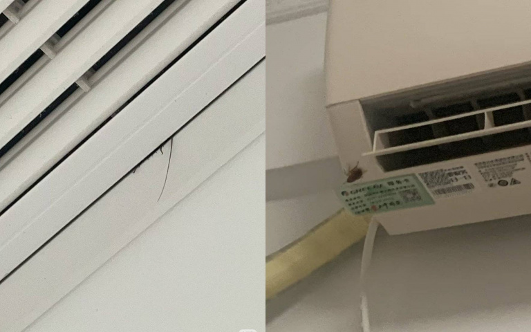 「冷氣一開蟑螂噴出來!」網友聽見這聲音秒崩潰:整個晚上都不敢睡!