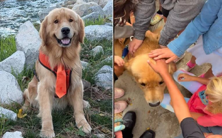 美國小鎮世襲制毛鎮長13年零負評　靠「摸到飽買票」人氣狂輾川普、拜登