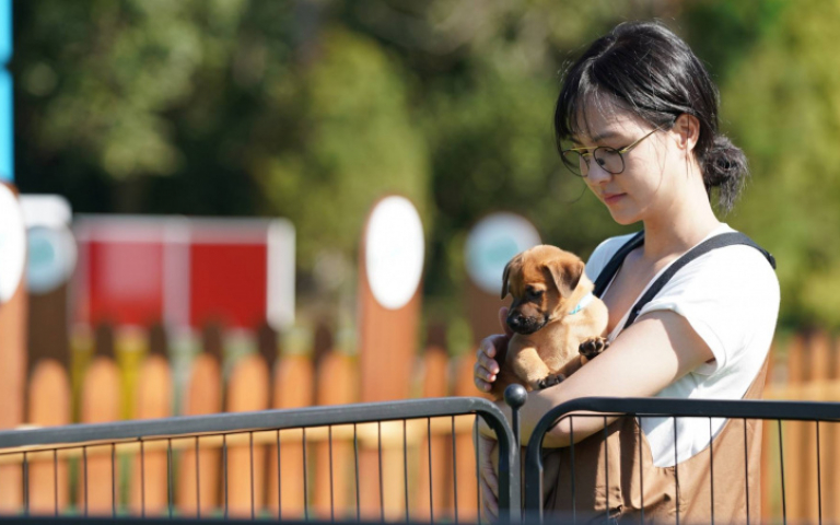 魏蔓因愛犬過世難過大哭　「悲傷像個無底洞」