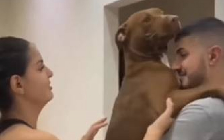 媽媽走心了啦！狗狗跳上爸爸胸膛…她一個動作惹怒網友