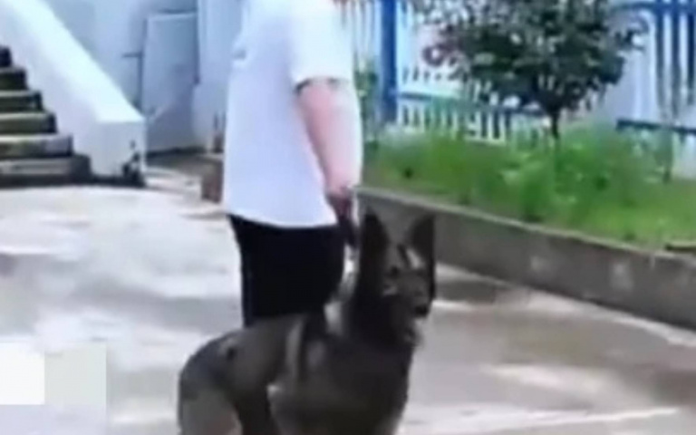 捨不得!領犬員爸爸淚送警犬寶貝 牠「3步一回頭」暖笑:別哭啦