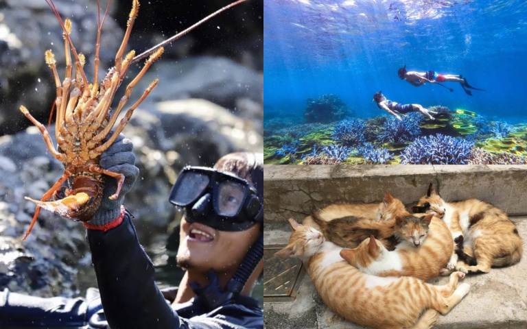 澎湖花火節登場!推薦5大跳島行程,台版貓島、水上活動、抓龍蝦超好玩!