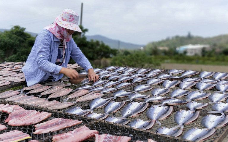 前進南屏東　從可可到飛魚　最終極的物產探訪