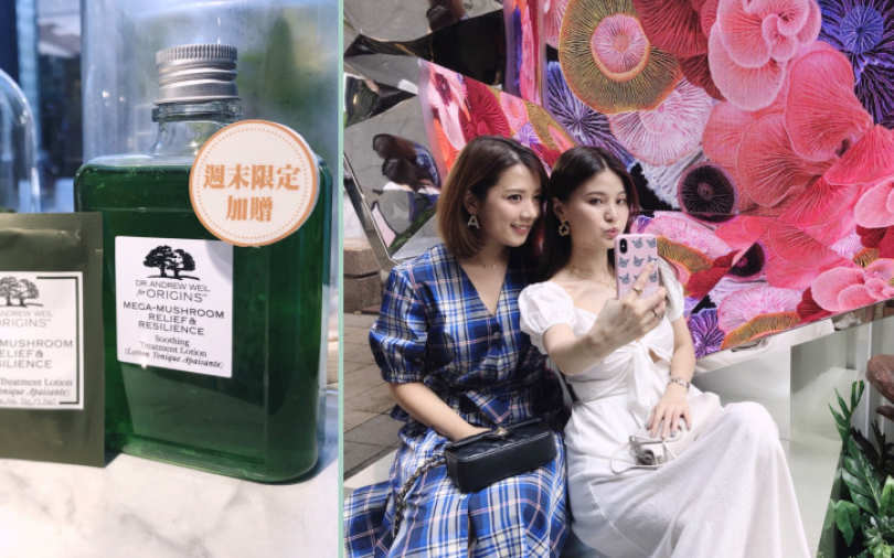 KOL、網友狂推「零負評靈芝水」！還有免費試用包、飲品可以拿