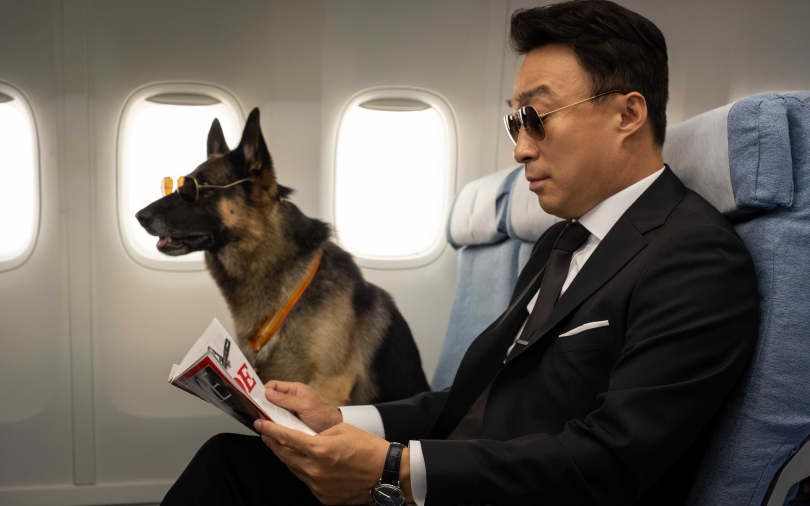 熊貓「明明」遭綁架 情報員破案靠軍犬