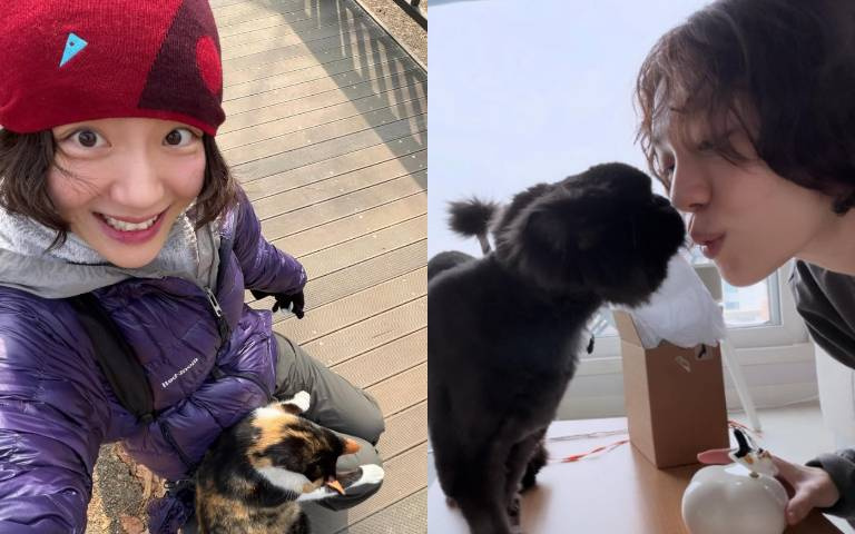 正念不只是玄學！科學證實：透過「覺察練習」重塑大腦，建立應對壓力的最強免疫系統