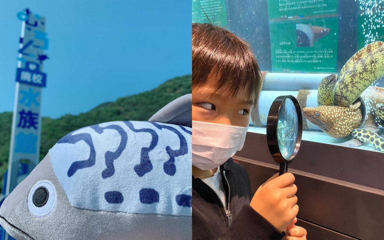 海龜、小鯊魚上學啦!由廢校變身的日本「室戶廢校水族館」