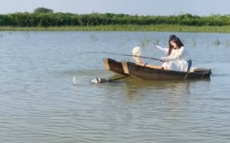 想要船動不加油？　擺隻雞腿在船頭「狗狗衝啊衝」