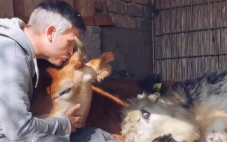 各種動物在他懷裡獲得安定感! 農場主人給抱抱溫馨畫面曝光
