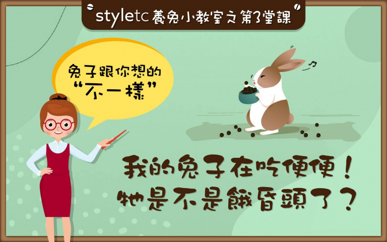 喔不,我的寶貝在吃屎!?請冷靜勿阻止,兔兔「食糞」很正常啦!