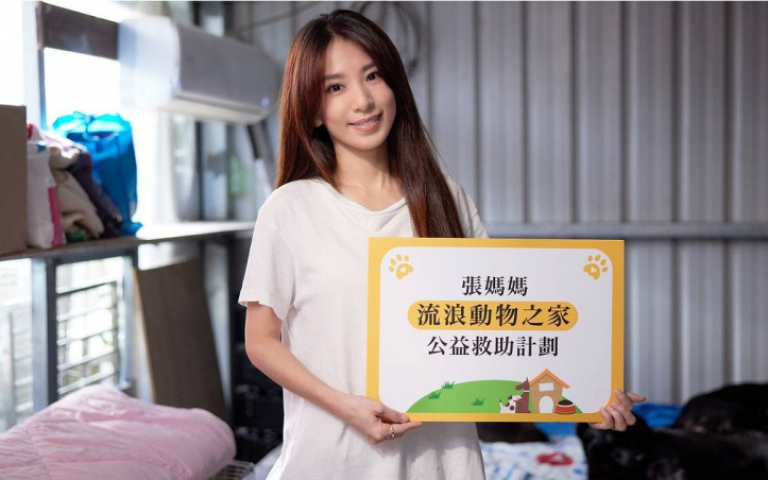 田馥甄關懷流浪動物 心疼活菩薩遇喪子之痛