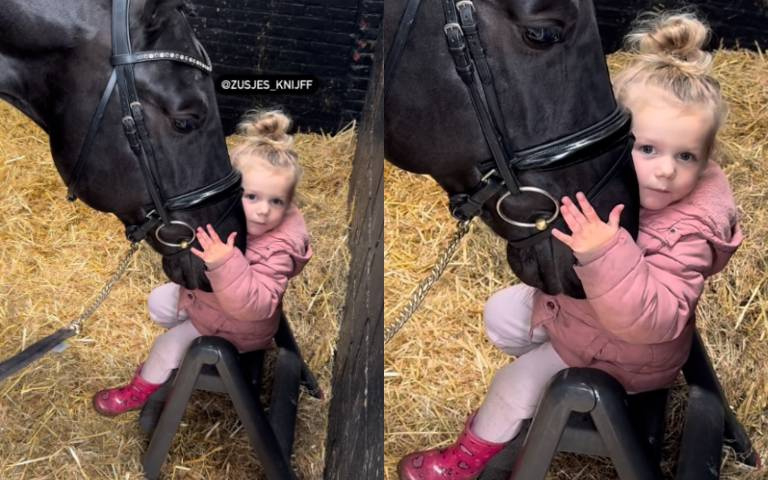 跨越物種的友誼！小女孩超愛黑馬　溫柔撫摸親吻畫面超暖
