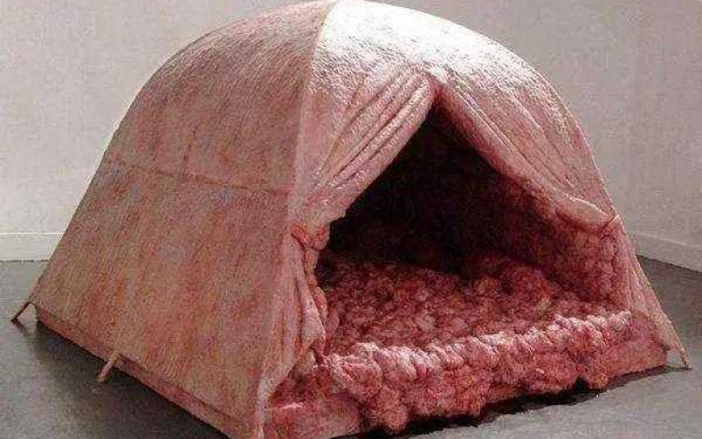 史上最恐怖!充滿血腥味的「內臟帳篷」 撐過整晚就有一萬元!