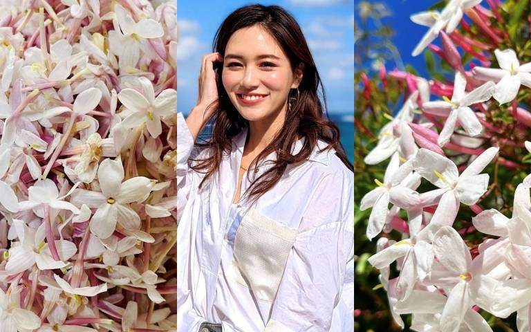 心情不好時「這個花香味」可以幫妳釋放壓力、找回滿滿幸福感!根本是「療癒系神花」!