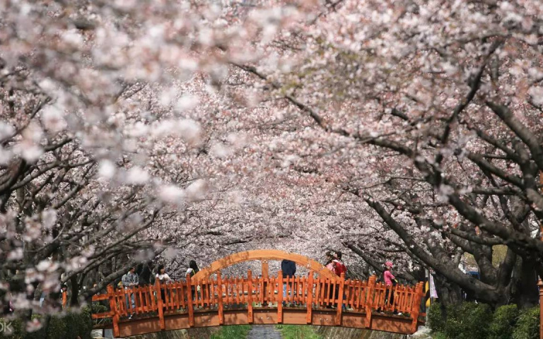 Klook公布2024「最受青睞的體驗行程」！戶外活動、主題樂園通通上榜！