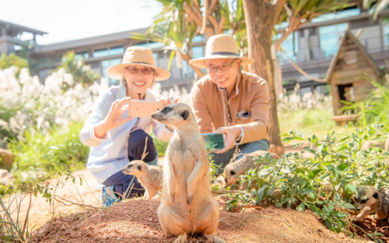 六福莊限時快閃「周末Fun假玩」住房專案！含早餐、六福村門票，只要xx元！