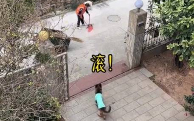 主人管不著鄰居的吵鬧狗！　派出自家愛犬「汪汪汪」…瞬間鳥獸散