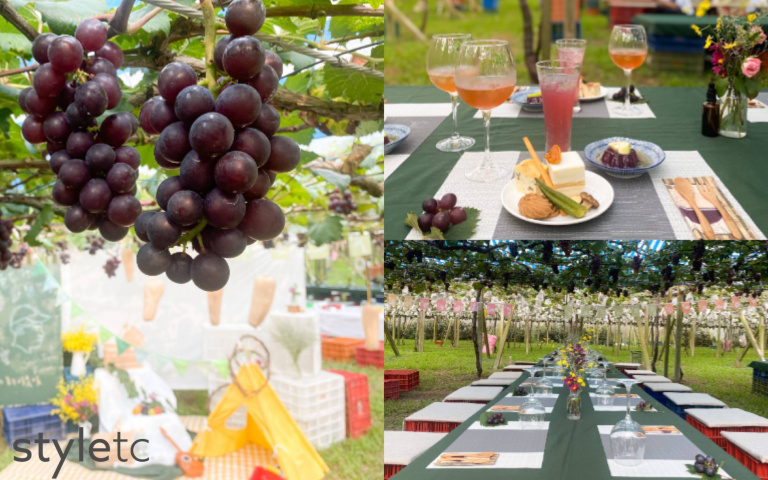 台中還能這樣玩！「葡萄莊園、陶藝DIY」農遊體驗，5大路線深入在地社區！