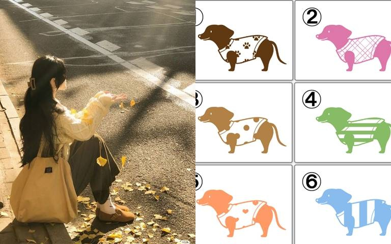 日本心理測驗！選擇喜歡的小狗看你的隱藏性格，看似呆萌心機卻超重？