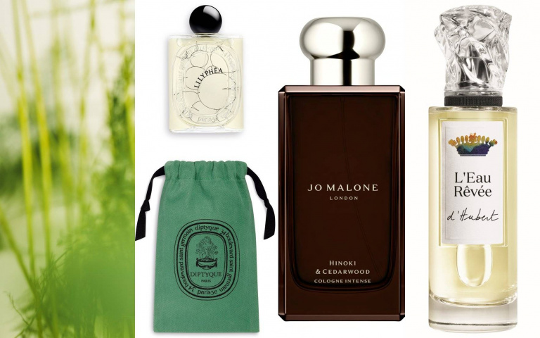 公認好聞必入手的「綠意中性香」!Jo Malone London檜木與雪松芳醇香水、Diptyque睡蓮粼波淡香精都會讓人一聞秒放鬆~