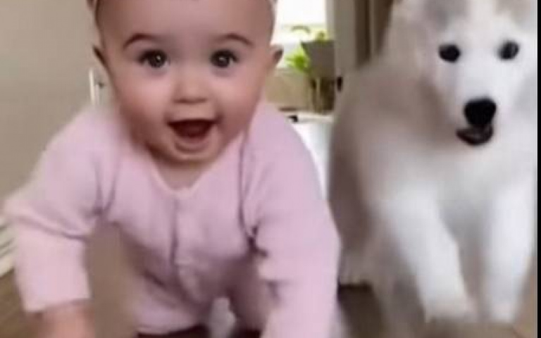 比賽項目是狗狗的專科！嬰兒大敗　大家看到這幕被暖到