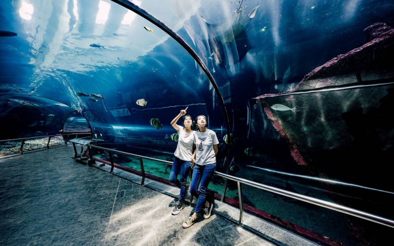 「魟魚」帶你飛!屏東海生館全新活動,與魟魚一起打卡拍照,玩爆整個海洋