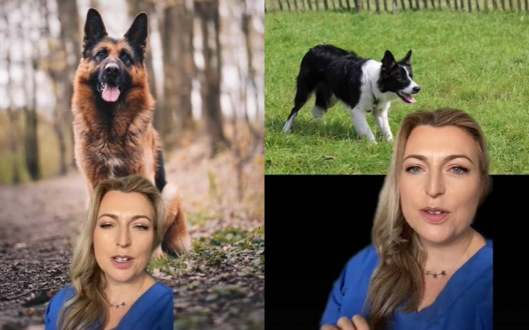 獸醫點名5種狗狗「進入領養黑名單」　德國牧羊犬生性焦慮+多疑