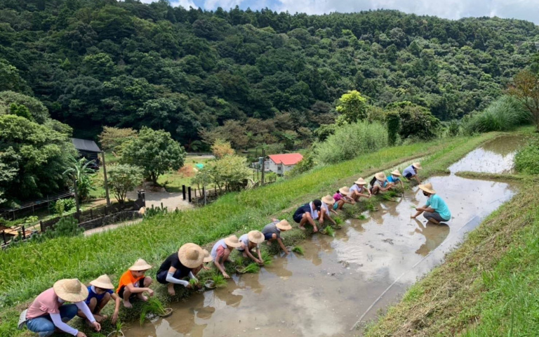 抓住夏天尾巴！導遊帶隊深度玩臺北，採竹筍、挖地瓜探索農莊！