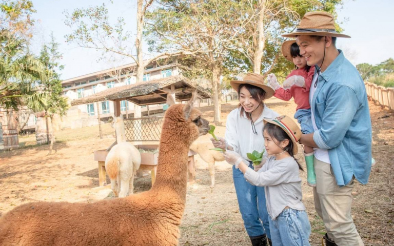 住了不想回家!六福莊「無限FUN瘋玩」,可愛動物、遊樂園等一次玩到飽!