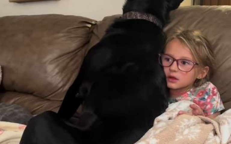 以為自己還小？　大黑狗壓在女孩身上「整個超突兀」