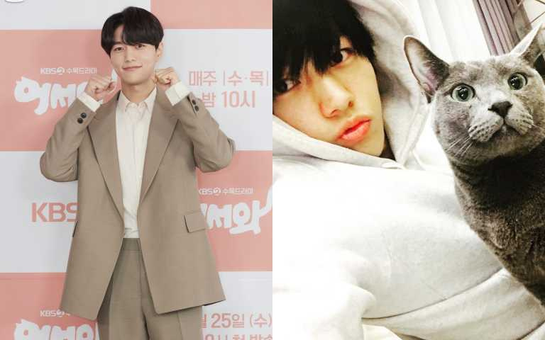 金明洙化身喵星人 《快過來》上演奇幻人貓戀
