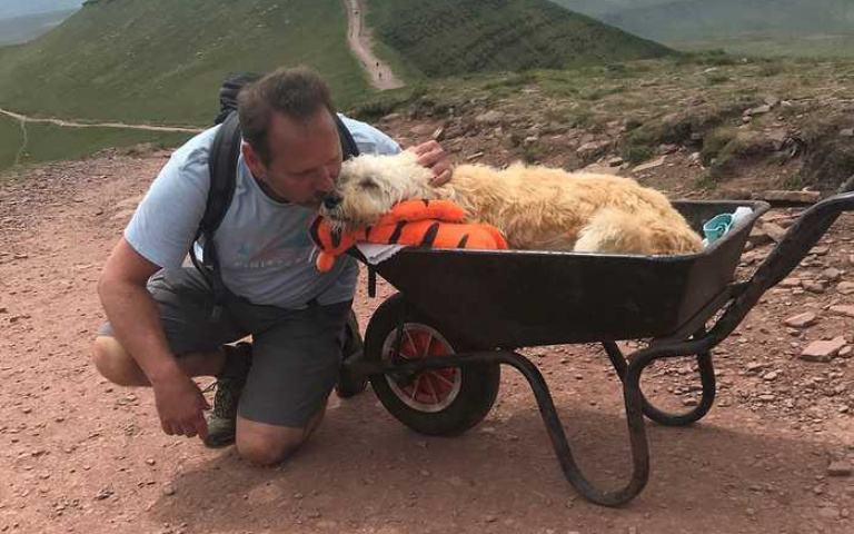 最後的旅程!愛犬血癌末期「坐推車」與把拔「成功登頂」,路人爆哭「接力一起推」!