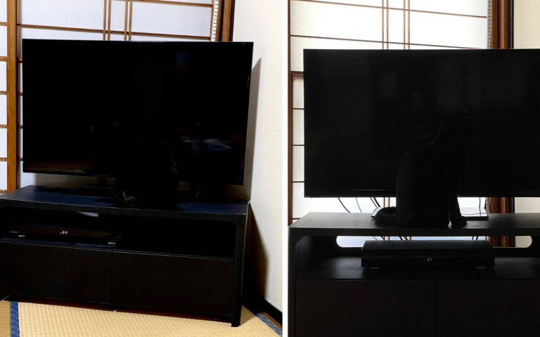 超完美隱身術!「融入」電視、電腦螢幕的黑貓