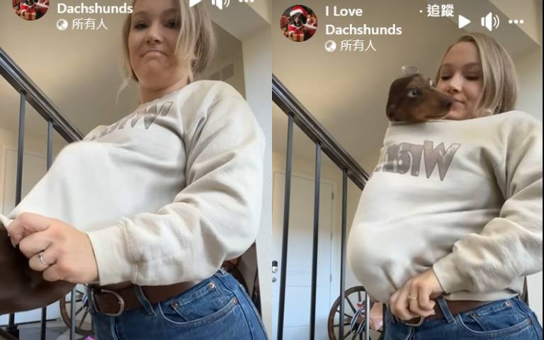 辣妞幫臘腸狗套衣服　網友看完影片全歪樓了