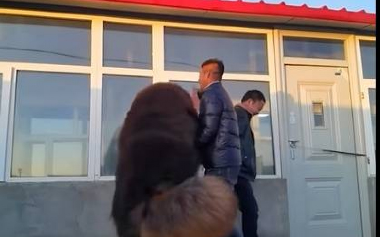 宛如熊一般撲向人類 巨大藏獒一舉動嚇壞主人