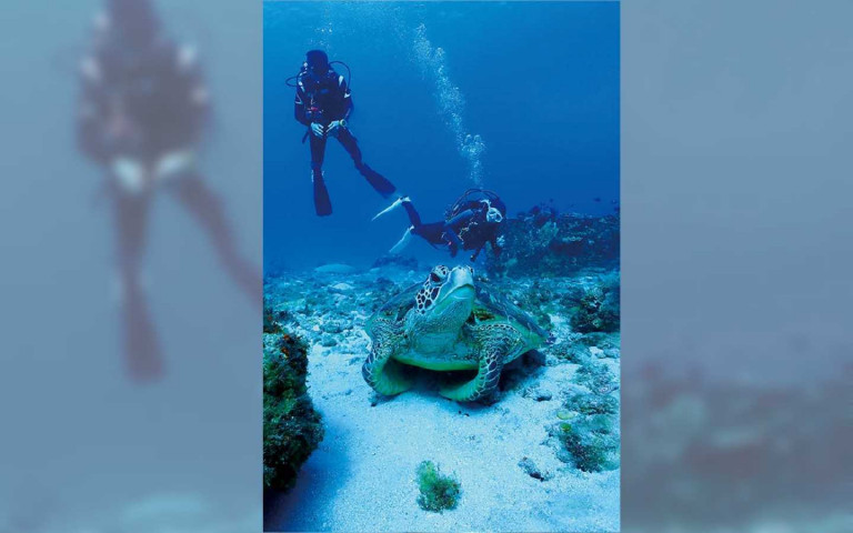 【玩家帶路】化身人魚 浪遊恆春
