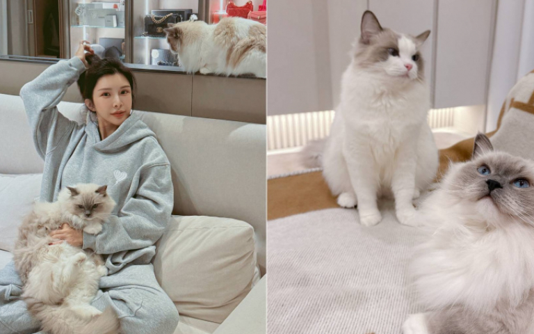 寵物情緣／「國光女神」自爆家中地位排第三　蘇心甯戀愛腦被貓治癒　