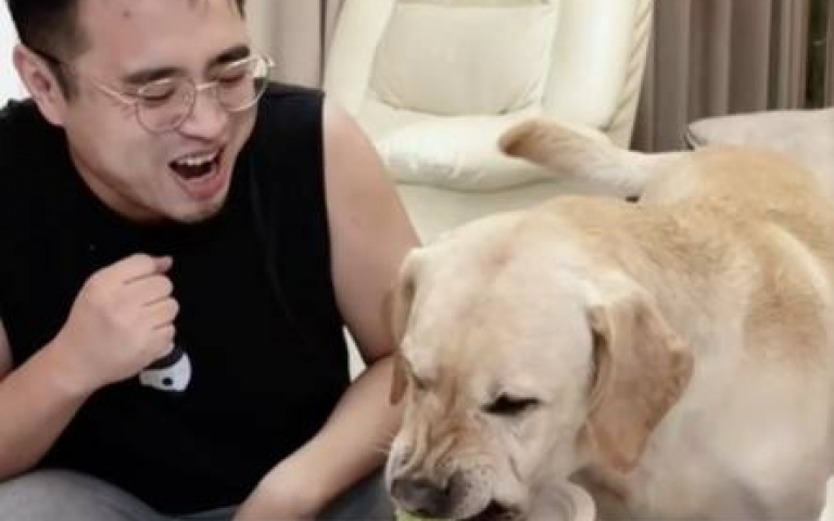 主僕大玩搶食遊戲　他快如閃電、牠錯愕遭耍