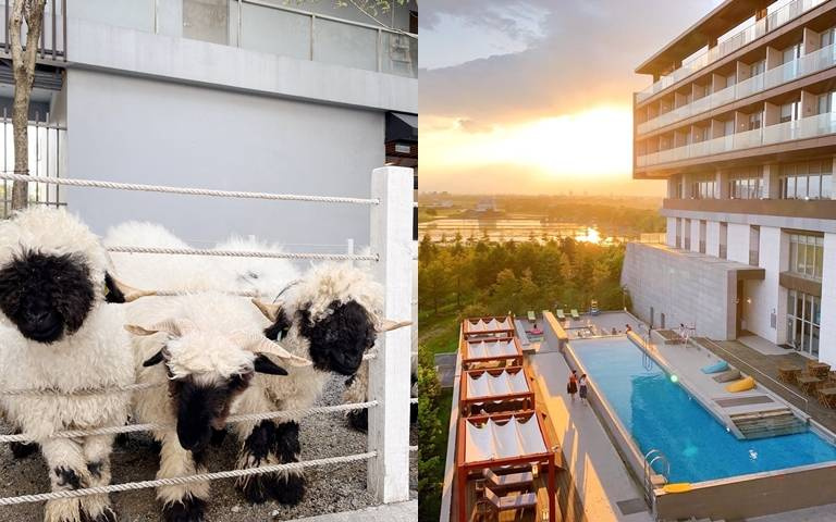 親子飯店免費與黑鼻羊互動！住房專屬水上活動贈跳跳床、泳池或遊園體驗券