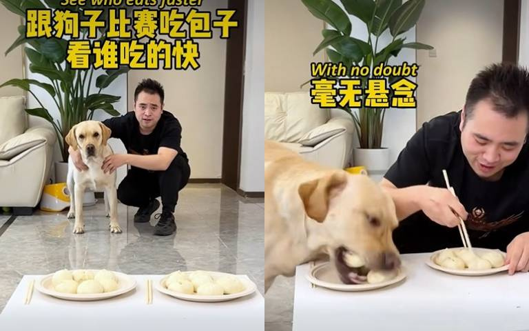 主人和狗比賽吃包子！　他犯規就算了還輸得一屁股