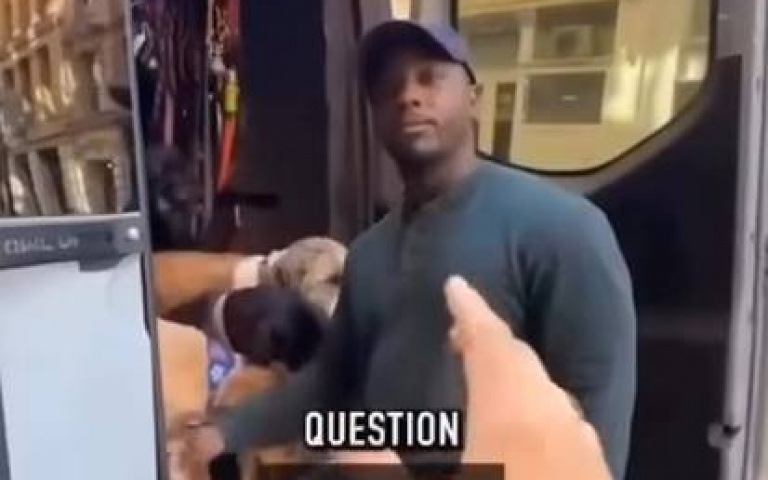 紐約遛狗人一天帶至少15隻狗去散步　年薪曝光嚇死人