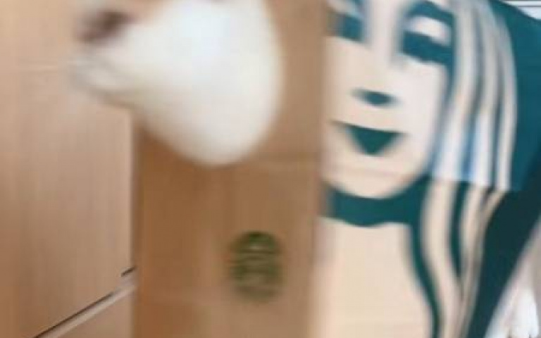 面攤貓喜歡鑽進紙袋　這操作像極了厭世的外送員