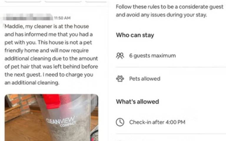 阿不是寵物友善？房客住宿「掉狗毛」被收清潔費　房東秒改：不適合帶毛小孩