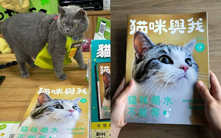 貓奴必備雜誌！《貓咪與我》收錄貓咪保健、疾病等知識，填問券再抽罐頭！