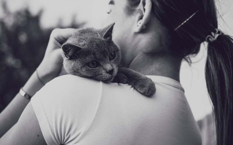 有效緩解煩躁不安！撫摸貓咪有助於身體產生「幸福賀爾蒙」