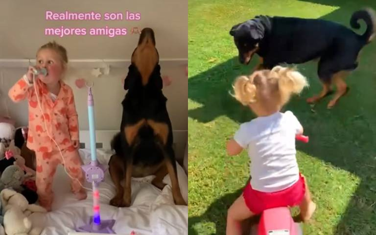 羅威納犬伴隨小女孩成長！騎車護身旁、唱歌牠也奉陪…畫面超溫馨