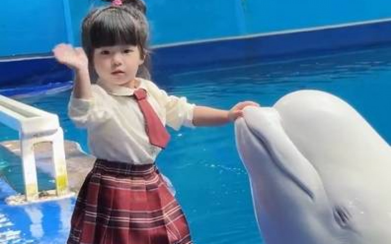小白鯨與2歲女孩互動融化眾人的心　溫暖一幕意外掀起討論